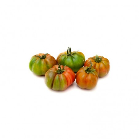 Tomate aliñar ecológico 500gr