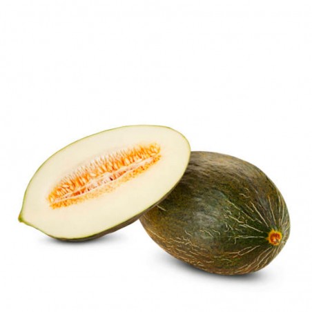 Melón piel sapo ecológico 1 ud. 1kg. (Aprox.)