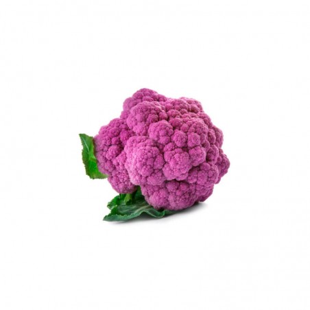 Coliflor morada ecológica 1ut.