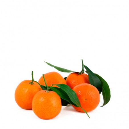 Mandarina Clementina ecológica 1kg