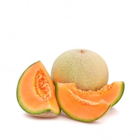 Melón cantaloup ecológico, 1ud de 1kg aprox